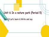 Unit 6 In a nature park Part B Let's learn & Write and say 课件
