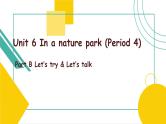 Unit6 In a nature park Part B Let's try&Let's talk课件PPT