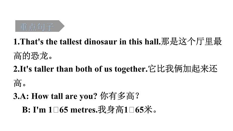 小升初小学英语总复习第19课时六年级下册Unit 1How tall are you？教学课件第5页