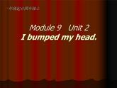 外研版（一年级起点）小学四年级英语上册 Module 9 Unit 2 I bumped my head.  课件1