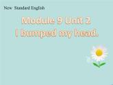 外研版（一年级起点）小学四年级英语上册 Module 9 Unit 2 I bumped my head.  课件3