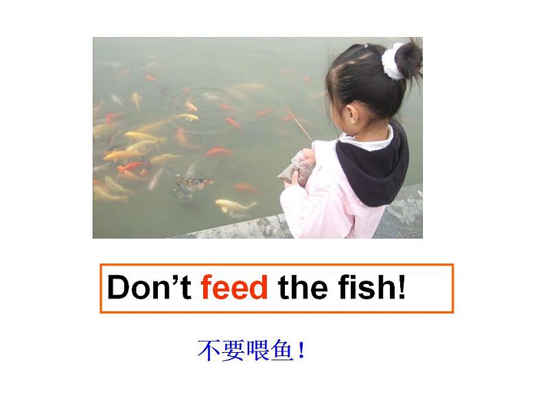 外研版（一年级起点）小学四年级英语下册Module 1 Unit 2 Don't feed the fish!  课件04