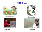 外研版（一年级起点）小学四年级英语下册Module 1 Unit 2 Don't feed the fish!  课件