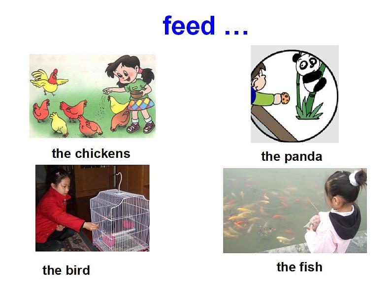 外研版（一年级起点）小学四年级英语下册Module 1 Unit 2 Don't feed the fish!  课件05