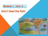 外研版（一年级起点）小学四年级英语下册Module 1 Unit 2 Don't feed the fish!  课件2