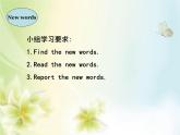 外研版（一年級(jí)起點(diǎn)）小學(xué)四年級(jí)英語(yǔ)下冊(cè)Module6 unit1 I'll draw the pictures.   課件2