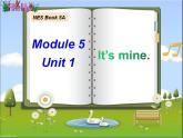 外研版（一年级起点）小学五年级英语上册Module 5 Unit 1 It's mine!  课件