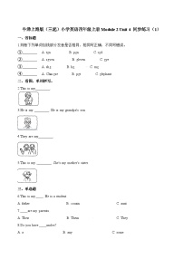 沪教牛津版(六三制三起)四年级上册Module 2 My family my friends and MeUnit 4 Do you have any cousins?复习练习题