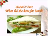 外研版（一年级起点）小学五年级英语下册Module 2 Unit 1 What did she have for lunch？  课件