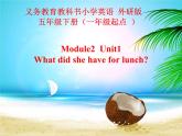 外研版（一年级起点）小学五年级英语下册Module 2 Unit 1 What did she have for lunch？  课件2