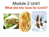外研版（一年级起点）小学五年级英语下册Module 2 Unit 1 What did she have for lunch？  课件5