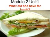 外研版（一年级起点）小学五年级英语下册Module 2 Unit 1 What did she have for lunch？  课件6