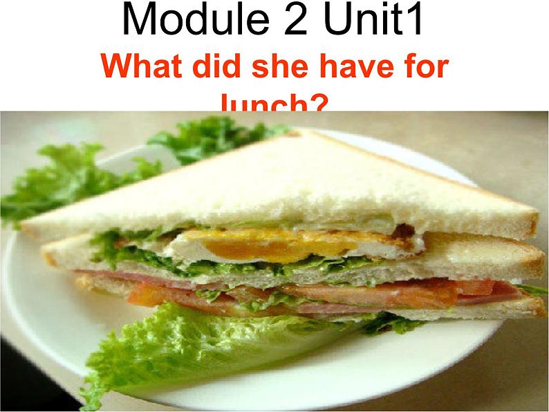 外研版（一年级起点）小学五年级英语下册Module 2 Unit 1 What did she have for lunch？  课件605