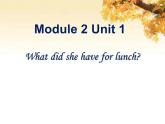 外研版（一年级起点）小学五年级英语下册Module 2 Unit 1 What did she have for lunch？  课件7