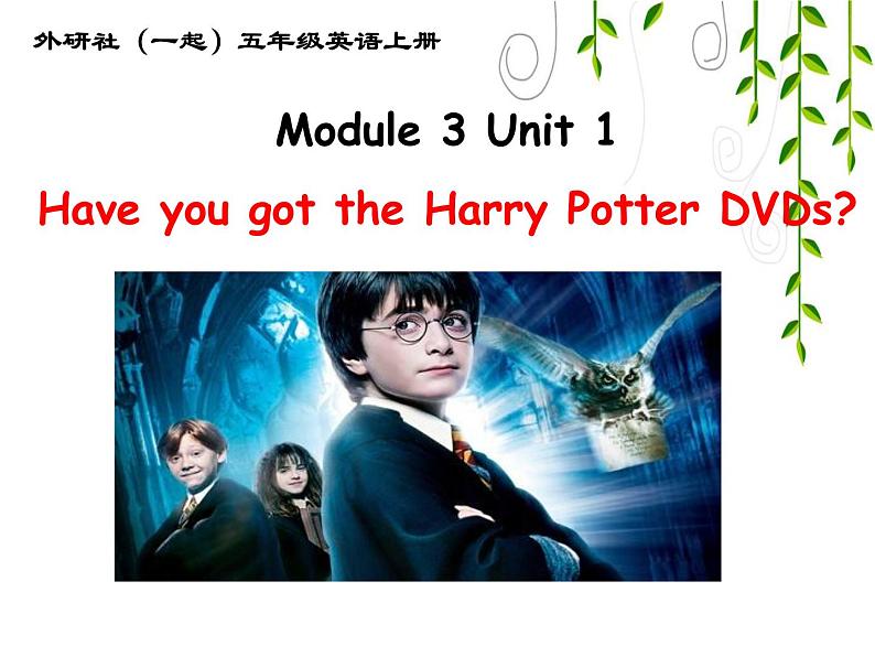 外研版（一年级起点）小学五年级英语下册Module 3 Unit 1 Have you got the Harry Potter DVDs？ 课件601