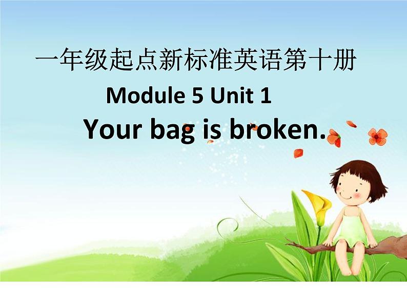 外研版（一年级起点）小学五年级英语下册Module 5 Unit 1 Your bag is broken.   课件201