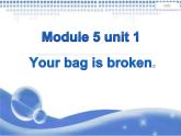 外研版（一年级起点）小学五年级英语下册Module 5 Unit 1 Your bag is broken.   课件3