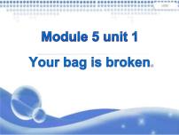 外研版 (一年级起点)五年级下册Unit 1 Your bag is broken.评课ppt课件