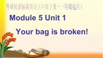 小学英语外研版 (一年级起点)五年级下册Module 5Unit 1 Your bag is broken.教课课件ppt