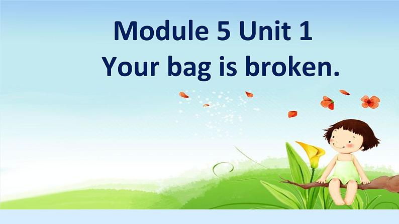 外研版（一年级起点）小学五年级英语下册Module 5 Unit 1 Your bag is broken.   课件501