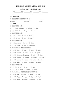 牛津上海版三起六年级下册 期中易错点专项复习-专题01 词语 语音