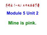 外研版（一年级起点）小学五年级英语下册Module 5 Unit 2 Mine is pink.  课件1