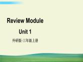 外研版英语三年级上册Review Module Unit 1课件+教案+音视频