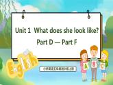 Unit 1 What does she look like PartD-PartF（课件）湘少版（三起）英语五年级上册