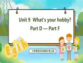 Unit 9 What's your hobby PartD-PartF（课件）湘少版（三起）英语五年级上册