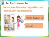 Unit 5 Can I have a pet PartA-PartC（課件）湘少版（三起）英語五年級上冊
