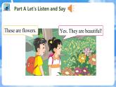 Unit 4 These are flowers PartA-PartC（课件）湘少版（三起）英语四年级上册