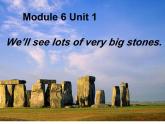 外研版（一年級(jí)起點(diǎn)）小學(xué)五年級(jí)英語(yǔ)下冊(cè)Module 6 Unit 1 We'll see lots of very big stones   課件5