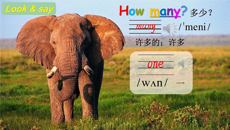 冀教版英语三年级上册Unit 1 Lesson 4课件+教案+音视频05