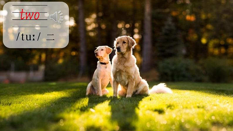 冀教版英语三年级上册Unit 1 Lesson 4课件+教案+音视频06