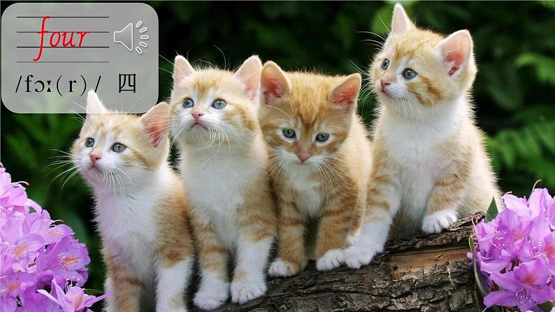 冀教版英语三年级上册Unit 1 Lesson 4课件+教案+音视频08