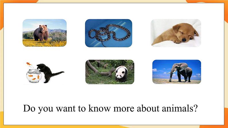 Module 7 Unit 2 Pandas love bamboo (第2课时) 课件05