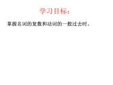 外研版（一年級起點）小學五年級英語下冊Module 9 Unit 1 We laughed a lot.   課件3