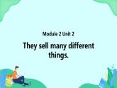 Module 2 Unit 2 They sell many different things (第2课时) 课件