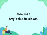 Module 5 Unit 2 Amy’s blue dress is wet (第2课时) 课件