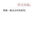 外研版（一年級(jí)起點(diǎn)）小學(xué)五年級(jí)英語下冊(cè)Module 10 Unit 2 I played on the beach.   課件2