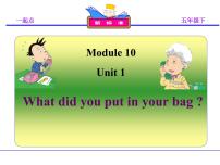 小学英语外研版 (一年级起点)五年级下册Unit 1 What did you put in your bag ?教学ppt课件