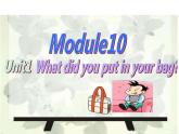外研版（一年级起点）小学五年级英语下册Module 10 Unit 1 What did you put in your bag？   课件2