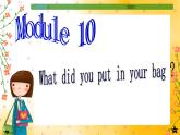 外研版（一年级起点）小学五年级英语下册Module 10 Unit 1 What did you put in your bag？   课件3