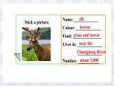 滬教版英語(yǔ)六年級(jí)上冊(cè) Project 2 課件