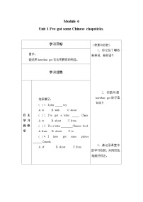 小学英语外研版 (一年级起点)六年级上册Unit 1 I've got some Chinese chopsticks.学案及答案