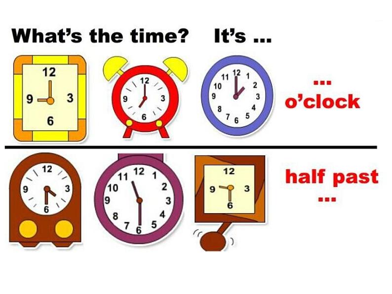 外研版（一年级起点）小学六年级英语上册Module 6 Unit 2 I haven't got a book about the US.  课件05