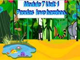 外研版（一年级起点）小学六年级英语上册Module 7 Unit 1 Pandas love bamboo.   课件