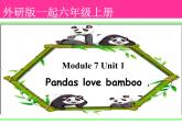 外研版（一年级起点）小学六年级英语上册Module 7 Unit 1 Pandas love bamboo.   课件1