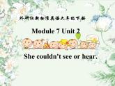 外研版（一年级起点）小学六年级英语下册 Module 7 Unit 2 She couldn't see or hear.  课件