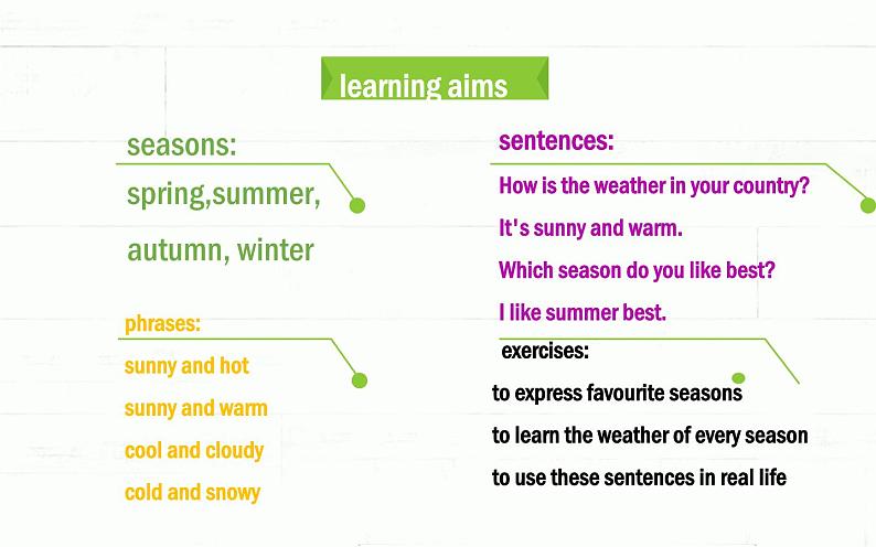 教科版（EEC）五年级英语下册 Unit 6  How'S The Weather In Your Country？   课件02